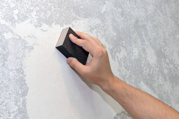 Professional Mold Removal in East Brooklyn, CT