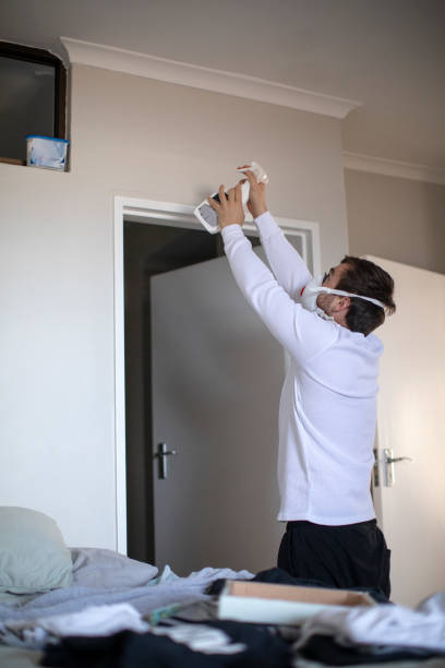 Professional Mold Removal in East Brooklyn, CT
