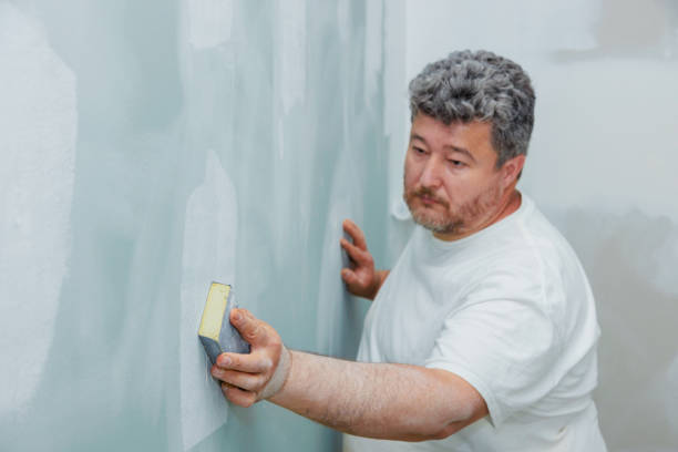 Best Forensic Mold Investigation  in East Brooklyn, CT