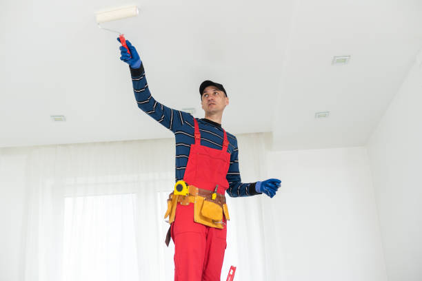 Best Mold Removal for HVAC Installations  in East Brooklyn, CT