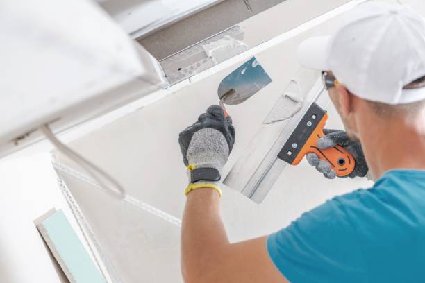 Best Mold Odor Removal Services  in East Brooklyn, CT